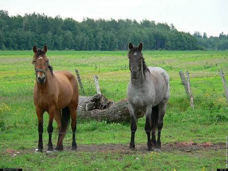 La plus noble conqu&ecirc;te