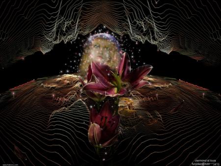 C�est ici dans ces yeux, dans ce rayon noir