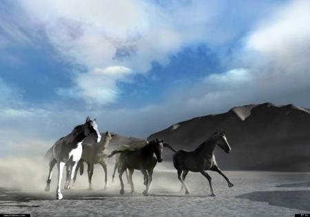 En g&eacute;n&eacute;ral nous avons des possessions