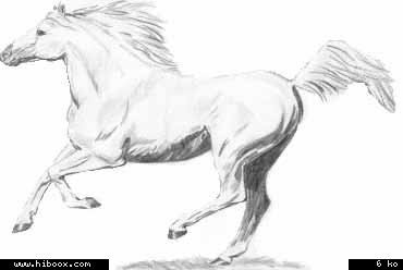 Il y a des parfums dans la vie