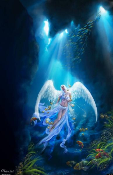 En l' attente de l' aube qui se l&egrave;ve, s&eacute;chant les larmes de la nuit