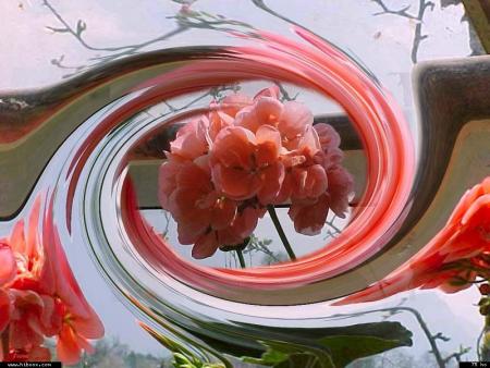 Grande &eacute;toile de Dieu