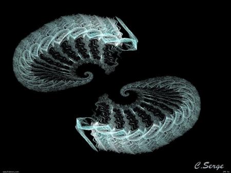 Attention aux fleurs des pr&eacute;s