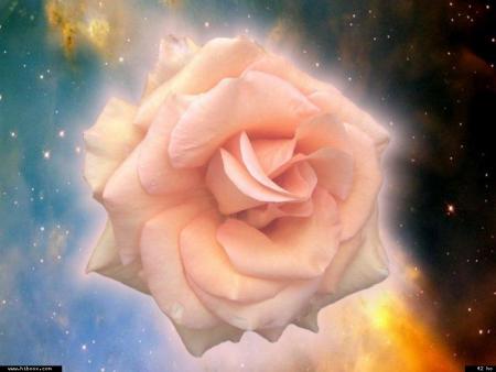 On se croise souvent on se fr&ocirc;le