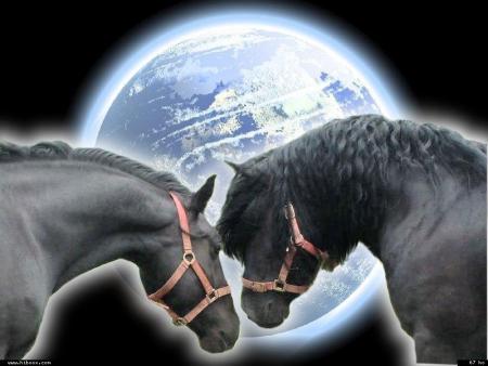 Chaque fois que tu te sentiras perdu