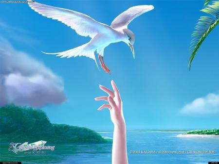 Voil&agrave; pourquoi