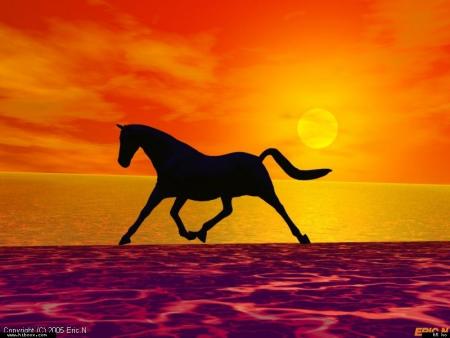 On se rencontre, on ne se rencontre pas