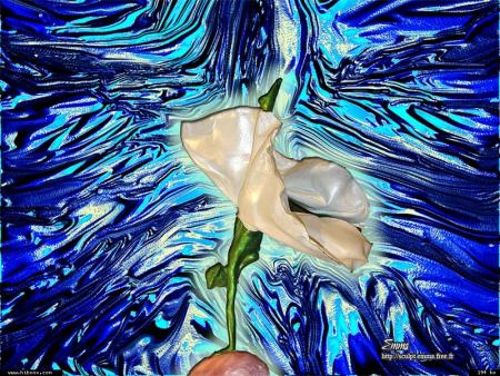 V&eacute;rit&eacute;