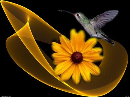 Le chemin de sa destin&eacute;e