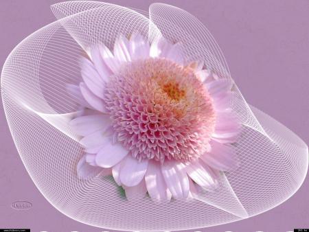 En regardant la Lune face &agrave; face