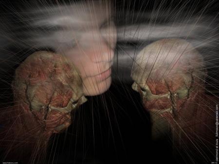 Je vis la fra&icirc;cheur du Printemps