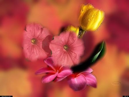 Pas simple d'&ecirc;tre simple