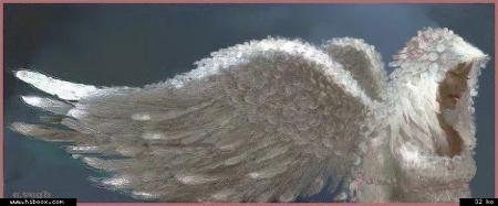 l'amiti&eacute; m&eacute;rite