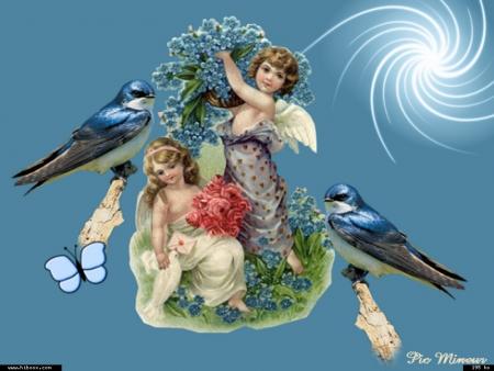 L'oiseau n'&eacute;tait pas heureux Parce qu'il ne savait pas