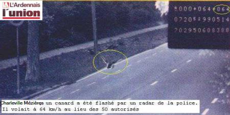 vitesse