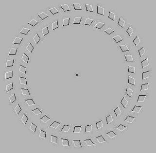 illusion
