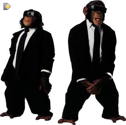 singerie