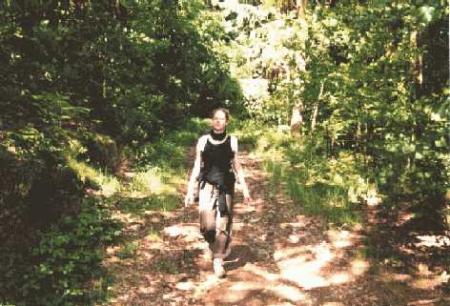 FORET  ARDENNAISE
