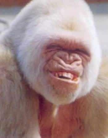 rire et sourire