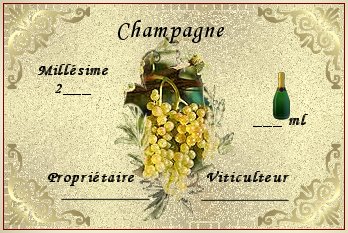 champagne