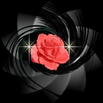 pour toi tu te reconnaitra mon coeur