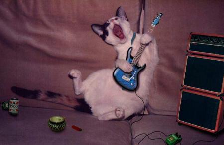 le chanteur