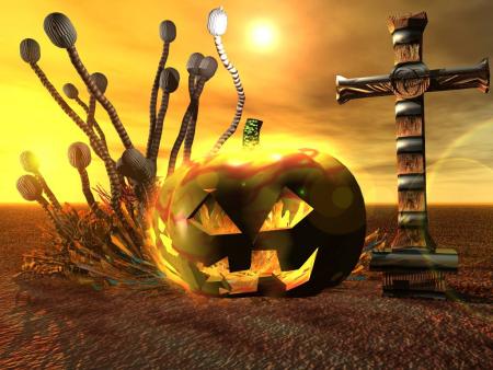 rien que pour la beaut&eacute;