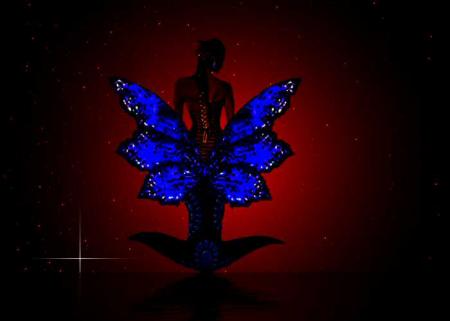 papillon de nuit