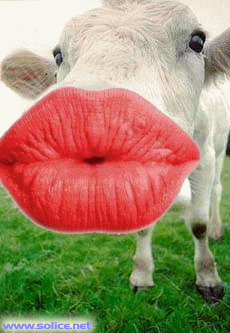 big bisousssssssssssssssssssss