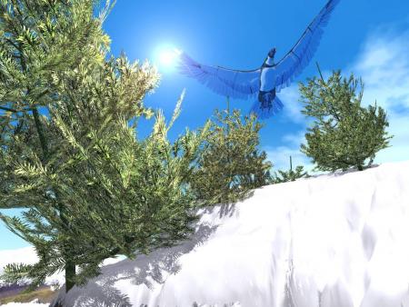 rien que pour la beaut&eacute;