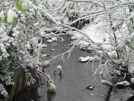 ruisseau a cot&eacute; de chez moi
