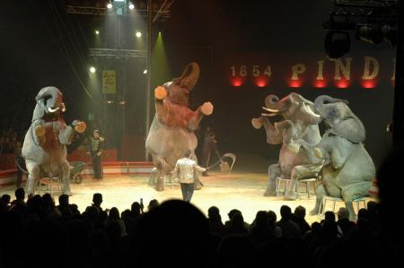 au cirque