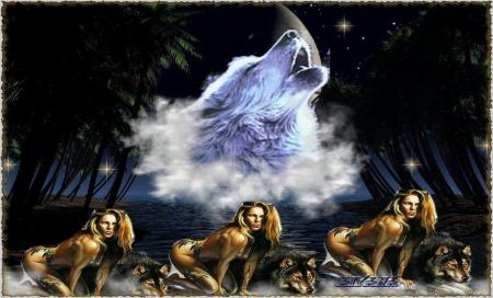 tres belle  image