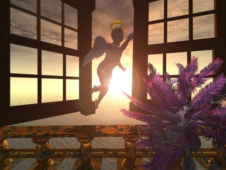 rien que pour la beaut&eacute;