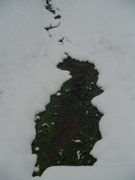 ruisseau a cot&eacute; de chez moi