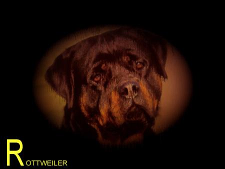 le rottweiller