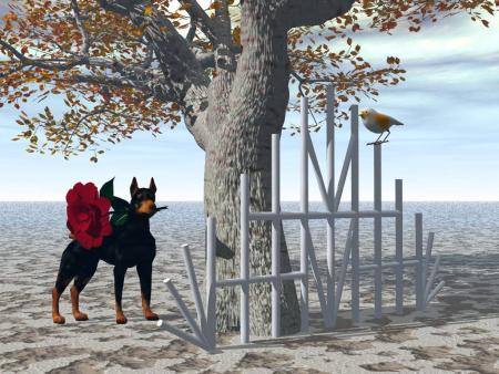 rien que pour la beaut&eacute;