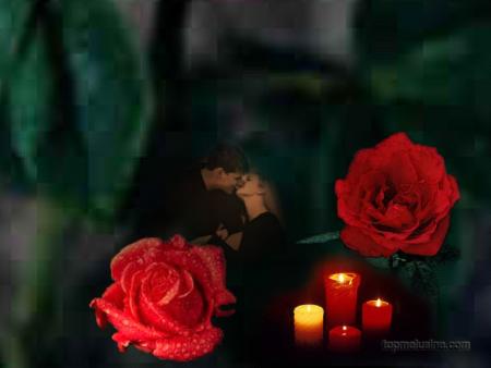 tres belle rose pour vous mesdames