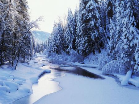 paysage d hiver