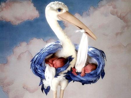 c'est elle qui ma amener