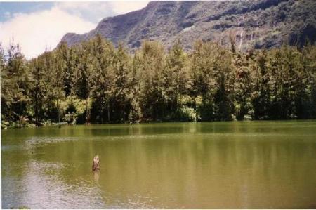 Sur la rivi&egrave;re de l'amiti&eacute;