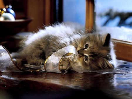 tout simplement genial