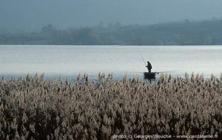En marchant le matin